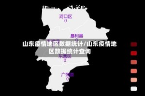 山东疫情地区数据统计/山东疫情地区数据统计查询