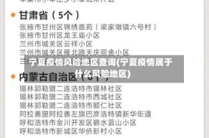 宁夏疫情风险地区查询(宁夏疫情属于什么风险地区)