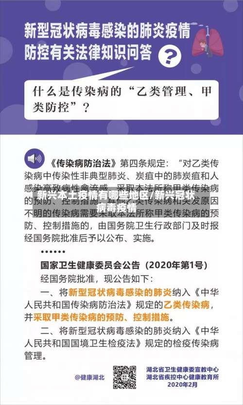 新兴本土疫情有哪些地区/新兴冠状病毒疫情-第3张图片