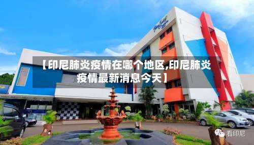 【印尼肺炎疫情在哪个地区,印尼肺炎疫情最新消息今天】-第2张图片