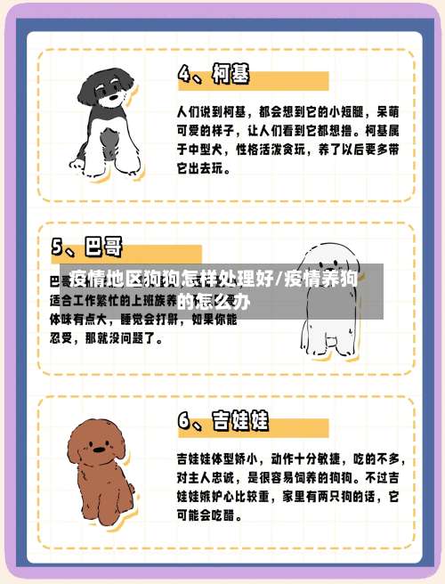疫情地区狗狗怎样处理好/疫情养狗的怎么办-第2张图片