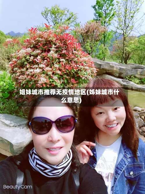 姐妹城市推荐无疫情地区(姊妹城市什么意思)-第1张图片