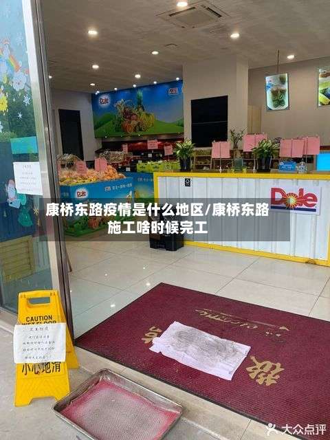 康桥东路疫情是什么地区/康桥东路施工啥时候完工-第1张图片