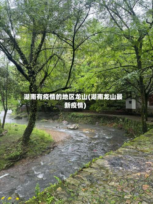 湖南有疫情的地区龙山(湖南龙山最新疫情)-第1张图片