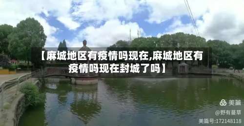 【麻城地区有疫情吗现在,麻城地区有疫情吗现在封城了吗】-第3张图片