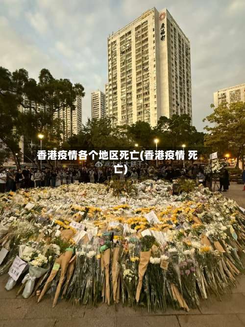 香港疫情各个地区死亡(香港疫情 死亡)-第2张图片