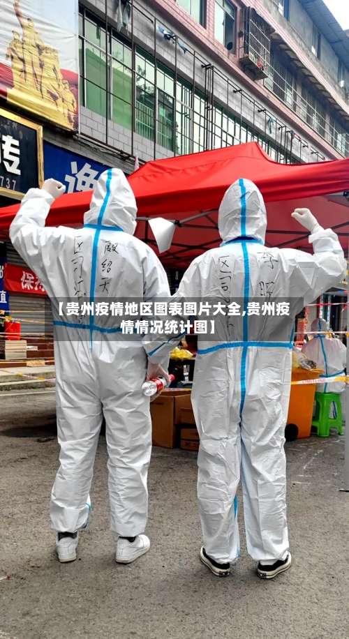 【贵州疫情地区图表图片大全,贵州疫情情况统计图】-第1张图片